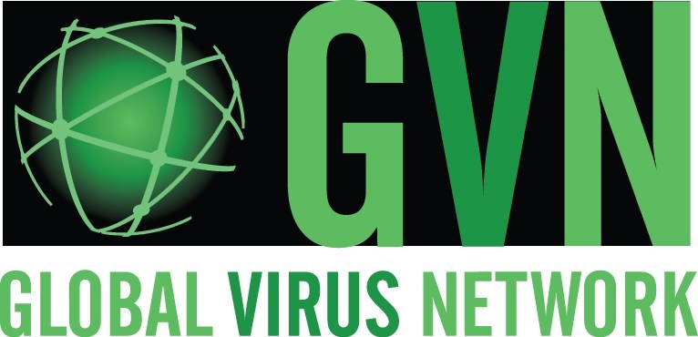 (Español) Los principales expertos en virus de la GVN se reúnen para identificar los avances más destacados