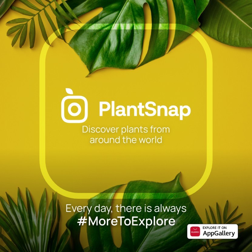 Se lanza la popular aplicación móvil PlantSnap en la AppGallery