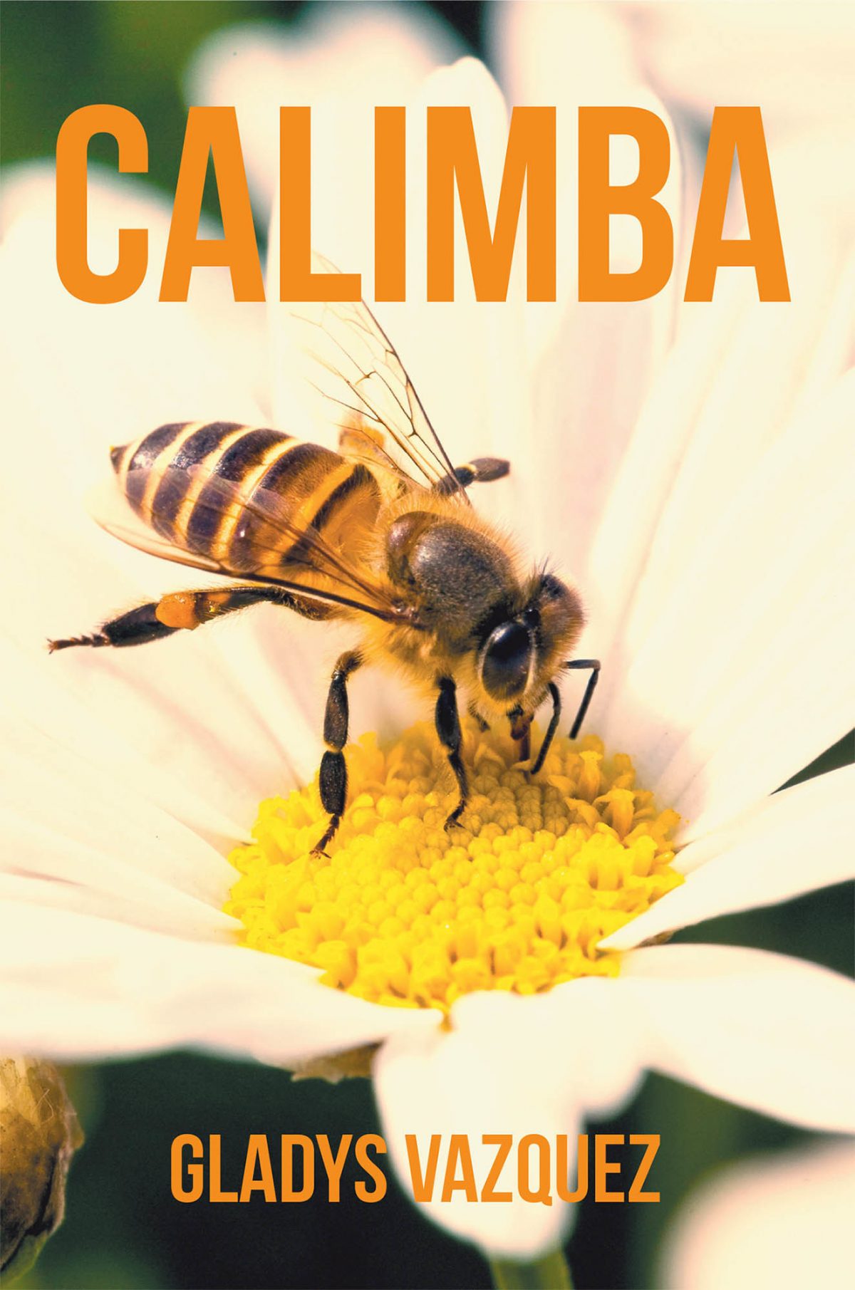 El nuevo libro de Gladys Vázquez, Calimba, una aventura fantástica, donde la aceptación y la adaptación son los protagonistas